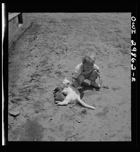 Untitled photo, possibly related to: Point Pleasant, West Virginia. A child with a small puppy and a kitten