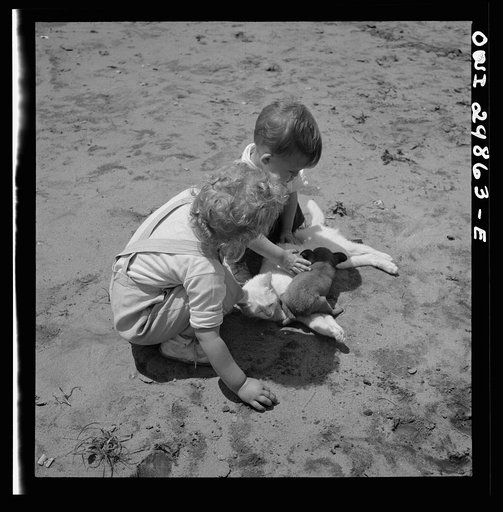 Untitled photo, possibly related to: Point Pleasant, West Virginia. A child with a small puppy and a kitten