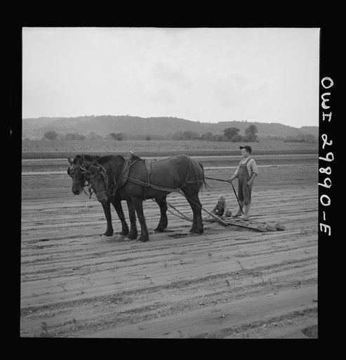 Point Pleasant, West Virginia. Boy with drag