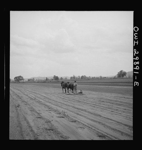 Untitled photo, possibly related to: Point Pleasant, West Virginia. Boy with drag