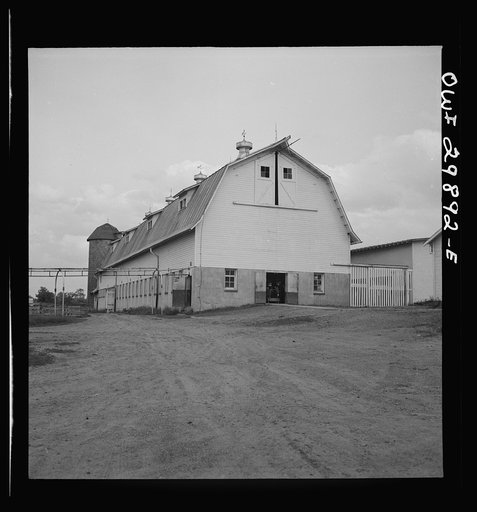 Point Pleasant (vicinity), West Virginia. Typical cow barn