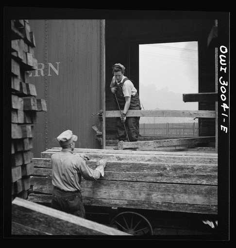 Pitcairn, Pennsylvania. Mrs. Lois Micheltree, thirty-six, employed as a laborer at the Pennsylvania Railroad lumber yard, earning fifty-five cents per hour. She helps to load and unload lumber from cars. Mrs. Micheltree has a son in the United States Navy