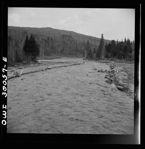 Untitled photo, possibly related to: Spring pulpwood drive on the Brown Company timber holdings in Maine. Pulp logs floating downstream