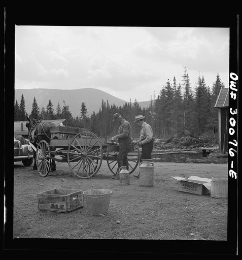 Untitled photo, possibly related to: Spring pulpwood drive on the Brown Company timber holdings in Maine. Mid-afternoon lunch brought by wagon from camp to where the men are cooking