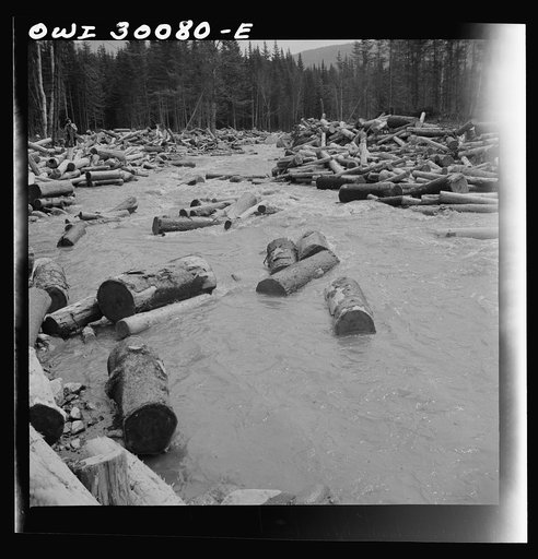 Untitled photo, possibly related to: Spring pulpwood drive on the Brown Company timber holdings in Maine. A jam is forming here where a few logs were snagged on a rock