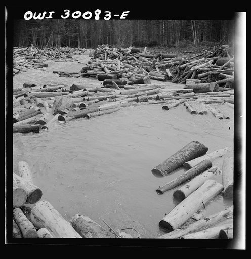 Untitled photo, possibly related to: Spring pulpwood drive on the Brown Company timber holdings in Maine. A jam is forming here where a few logs were snagged on a rock