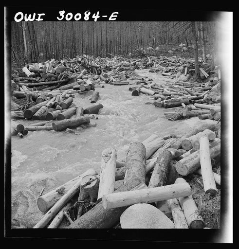 Untitled photo, possibly related to: Spring pulpwood drive on the Brown Company timber holdings in Maine. A jam is forming here where a few logs were snagged on a rock