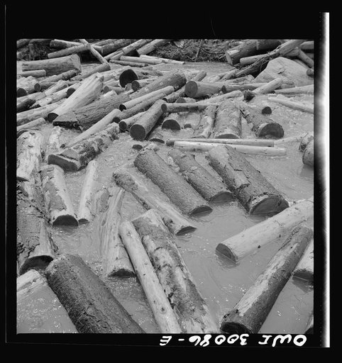 Untitled photo, possibly related to: Spring pulpwood drive on the Brown Company timber holdings in Maine. Logs in the boom at Long Pond. Logs scrape each other so that most of them are barked clean by the time they reach the mill at Berlin