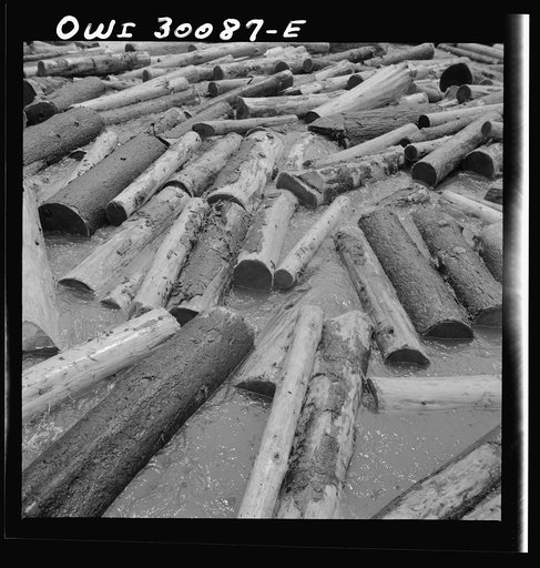 Spring pulpwood drive on the Brown Company timber holdings in Maine. Logs in the boom at Long Pond. Logs scrape each other so that most of them are barked clean by the time they reach the mill at Berlin