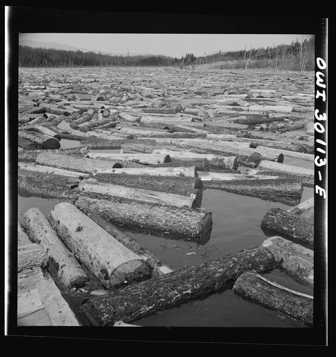 Spring pulpwood drive on the Brown Company timber holdings in Maine. Pulpwood accumulated in the Kennebago River waiting to be sluiced through the power dam.