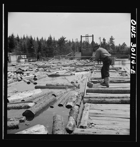 Untitled photo, possibly related to: Spring pulpwood drive on the Brown Company timber holdings in Maine. Pikemen keep the logs moving down toward the sluiceway of the power dam