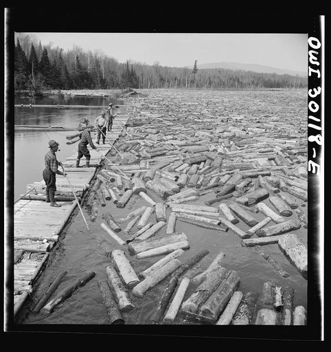 Spring pulpwood drive on the Brown Company timber holdings in Maine. Pikemen keep the logs moving down toward the sluiceway of the power dam