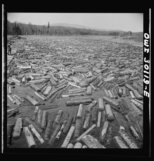 Untitled photo, possibly related to: Spring pulpwood drive on the Brown Company timber holdings in Maine. Pikemen keep the logs moving down toward the sluiceway of the power dam