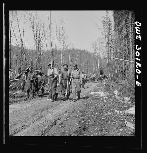 Spring pulpwood drive on the Brown Company timber holdings in Maine. Woodsmen returning to work after lunch on the road