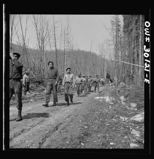Untitled photo, possibly related to: Spring pulpwood drive on the Brown Company timber holdings in Maine. Woodsmen returning to work after lunch on the road
