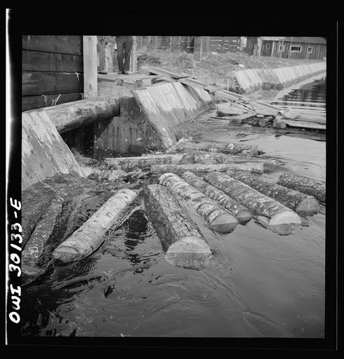 Spring pulpwood drive on the Brown Company timber holdings in Maine. Pulpwood sluicing through the dam at Long Pond