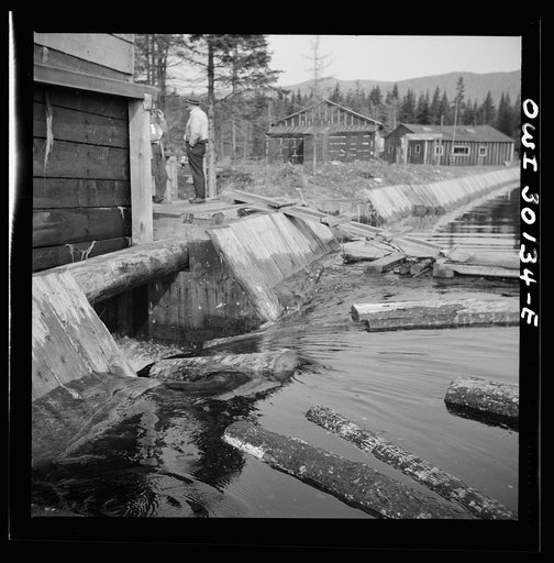 Untitled photo, possibly related to: Spring pulpwood drive on the Brown Company timber holdings in Maine. Pulpwood sluicing through the dam at Long Pond
