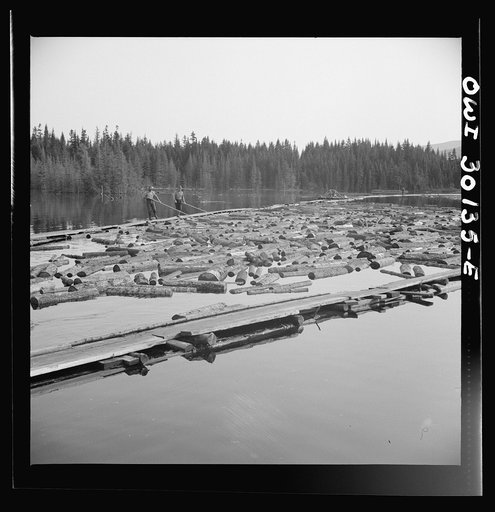 Untitled photo, possibly related to: Spring pulpwood drive on the Brown Company timber holdings in Maine. Pikemen keep the logs moving into the sluiceway at Long Pond Dam