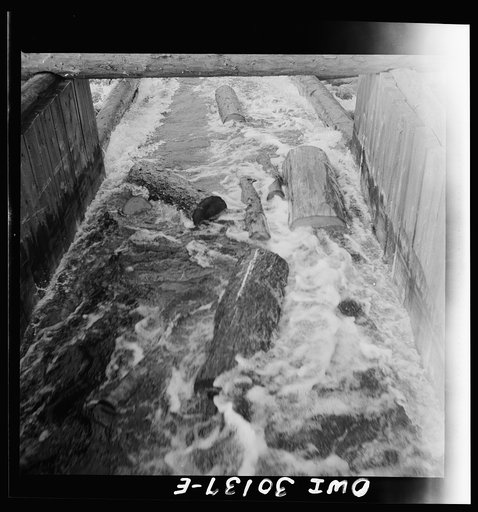 Untitled photo, possibly related to: Spring pulpwood drive on the Brown Company timber holdings in Maine. Pulpwood sluicing through the dam at Long Pond