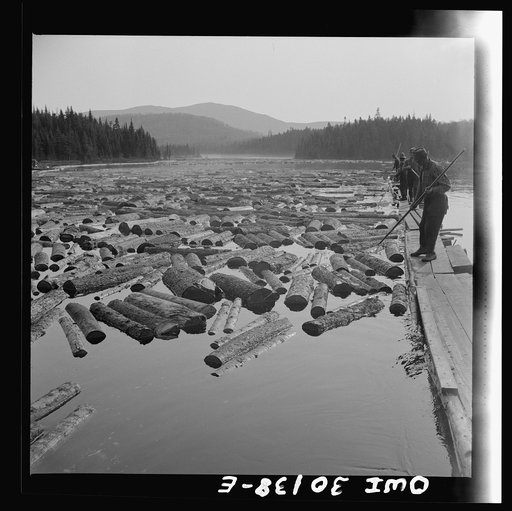 Spring pulpwood drive on the Brown Company timber holdings in Maine. Pikemen keep the logs moving into the sluiceway at Long Pond Dam