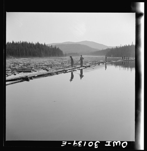 Spring pulpwood drive on the Brown Company timber holdings in Maine. Pikemen keep the logs moving into the sluiceway at Long Pond Dam