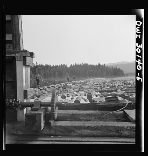 Spring pulpwood drive on the Brown Company timber holdings in Maine. By catching logs with the twisted point of the pikes and pulling along as they walk, woodsmen keep the logs moving down into the sluiceway
