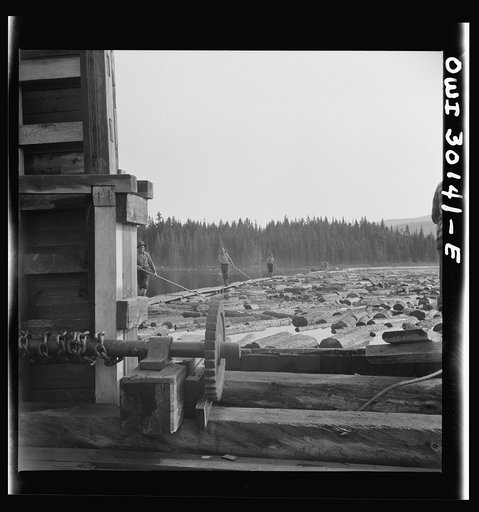 Untitled photo, possibly related to: Spring pulpwood drive on the Brown Company timber holdings in Maine. By catching logs with the twisted point of the pikes and pulling along as they walk, woodsmen keep the logs moving down into the sluiceway