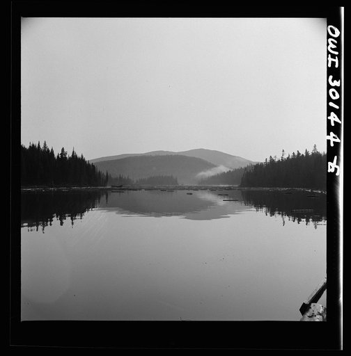 Untitled photo, possibly related to: Spring pulpwood drive on the Brown Company timber holdings in Maine. During the night the wind has blown the logs in the boom up Long Pond, away from the dam through which they must be sluiced