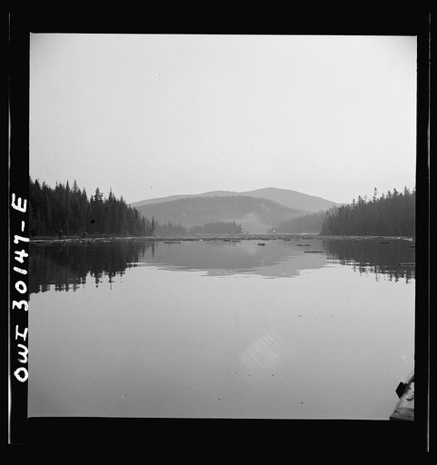 Spring pulpwood drive on the Brown Company timber holdings in Maine. During the night the wind has blown the logs in the boom up Long Pond, away from the dam through which they must be sluiced