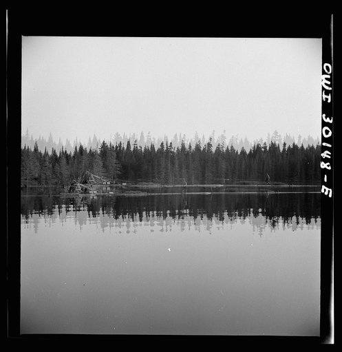 Untitled photo, possibly related to: Spring pulpwood drive on the Brown Company timber holdings in Maine. Woodsmen winching up the boom on Long Pond; during the night the wind has blown the logs in the boom up pond away from the dam through which they must be sluiced