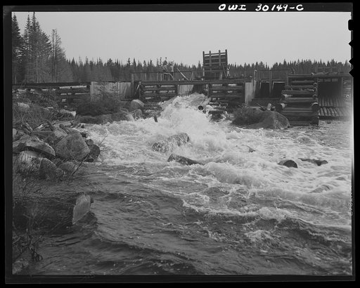 Untitled photo, possibly related to: Spring pulpwood drive on the Brown Company timber holdings in Maine. Pulpwood sluicing through the dam at Long Pond