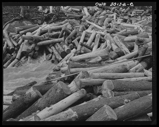 Spring pulpwood drive on the Brown Company timber holdings in Maine. Pulpwood caught in a jam on Dennison Bog Brook