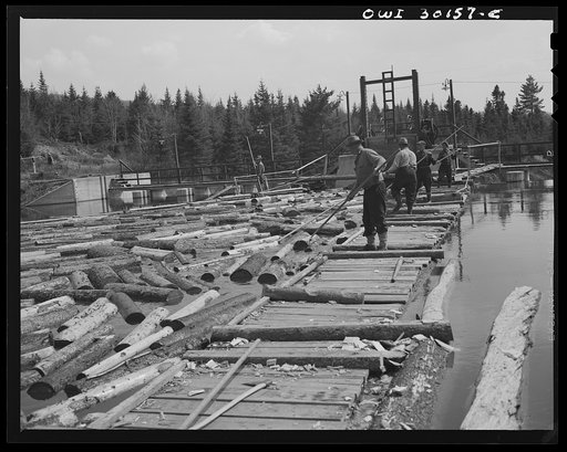 Spring pulpwood drive on the Brown Company timber holdings in Maine. Woodsmen with pikes feeding logs into the sluice at the power dam on the Kennebago River