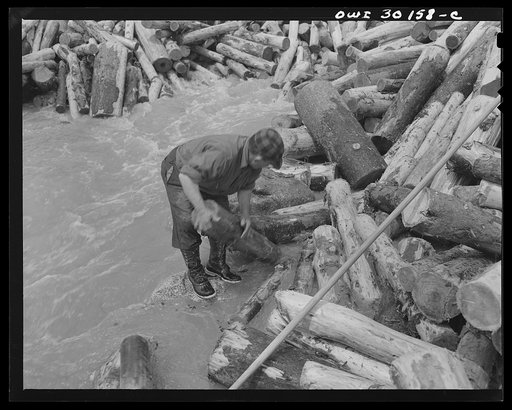 Untitled photo, possibly related to: Spring pulpwood drive on the Brown Company timber holdings in Maine. Woodsman, putting logs into stream below a jam, moving a stubborn one by hand