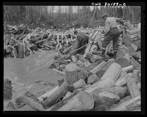Untitled photo, possibly related to: Spring pulpwood drive on the Brown Company timber holdings in Maine. Woodsman, putting logs into stream below a jam, moving a stubborn one by hand