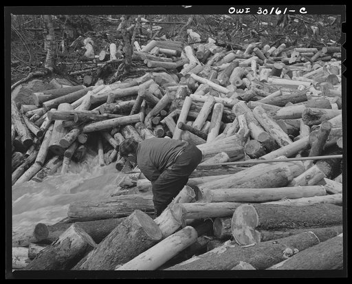 Untitled photo, possibly related to: Spring pulpwood drive on the Brown Company timber holdings in Maine. Woodsman, putting logs into stream below a jam, moving a stubborn one by hand