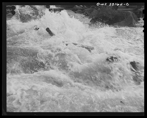 Spring pulpwood drive on the Brown Company timber holding in Maine. Pulpwood sluicing through the dam at Long Pond