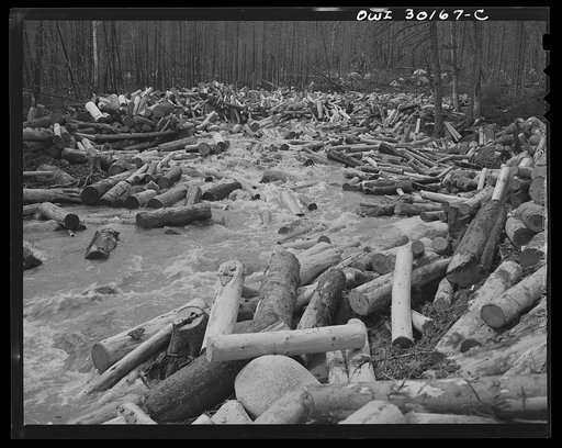 Spring pulpwood drive on the Brown Company timber holdings in Maine. An extra large "head" of water is released to break the jam in Dennison Bog Brook