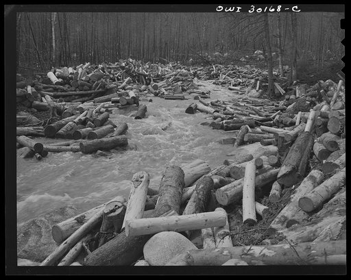 Spring pulpwood drive on the Brown company timber holdings in Maine. Although a good deal of wood is left as a "rear," the jam on Dennison Bog Brook has been broken