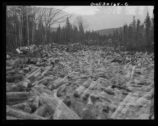 Untitled photo, possibly related to: Spring pulpwood drive on the Brown Company timber holdings in Maine. A "head" breaking the jam on Dennison Bog Brook