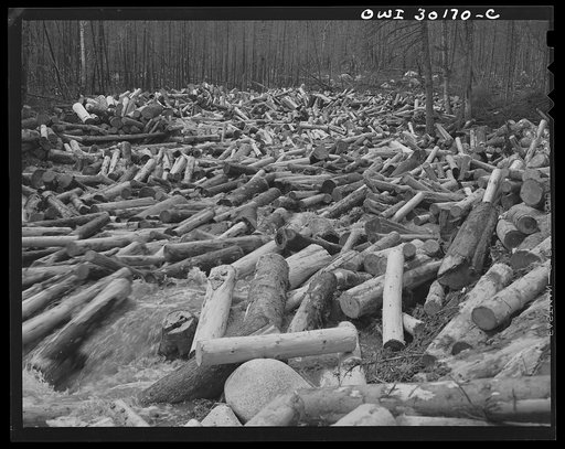 Spring pulpwood drive on the Brown Company timber holdings in Maine. A "head" breaking the jam on Dennison Bog Brook