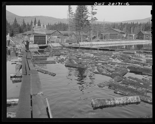 Spring pulpwood drive on the Brown Company timber holdings in Maine. Feeding logs through the sluice at Long Pond. In the background are the camp buildings