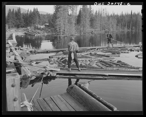 Spring pulpwood drive on the Brown Company timber holdings in Maine. Feeding logs through the sluice at Long Pond. A key log is caught with twisted point of a pike, and as the woodman pulls this log, others are carried with it into the sluiceway
