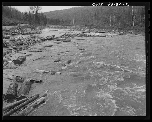 Spring pulpwood drive on the Brown Company timber holdings in Maine. Pulp logs floating downstream