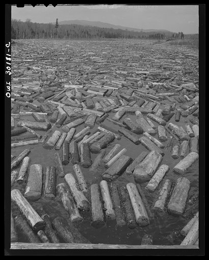 Spring pulpwood drive on the Brown Company timber holdings in Maine. Pulpwood accumulated in the Kennebago River waiting to be sluiced through the power dam