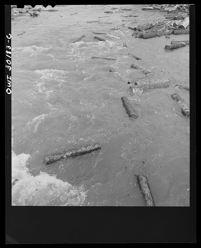 Untitled photo, possibly related to: Spring pulpwood drive on the Brown Company timber holdings in Maine. Wood riding the rapids below the power dam in Kennebago River