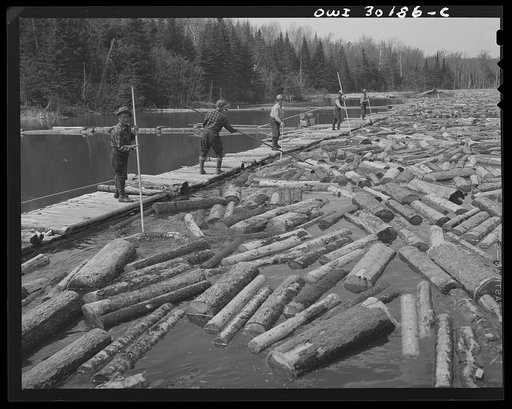 Spring pulpwood drive on the Brown Company timber holdings in Maine. Woodsmen with pikes feeding logs into the sluice at the power dam on Kennebago River