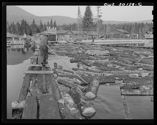 Spring pulpwood drive on the Brown Company timber holdings in Maine.  Feeding the logs through the sluice at Long Pond. A key log is caught with the twisted point of a pike and as the woodman pulls this log, others are carried with it into the sluiceway