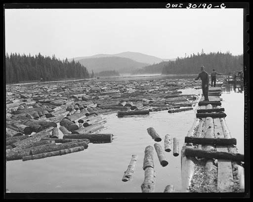 Spring pulpwood drive on the Brown Company timber holdings in Maine.  Logs in the boom on Long Pond being fed into the sluiceway