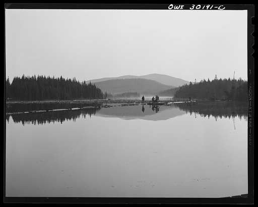 Spring pulpwood drive on the Brown Company timber, Maine. Woodsmen winching up the boom on Long Pond. During the night wind has blown the logs in the boom up pond away from the dam through which they must be sluiced
